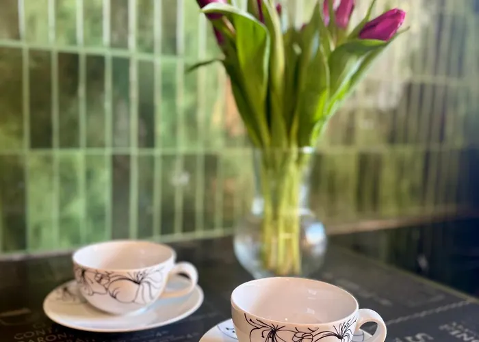 Apartman Vintage Senacka 9/7