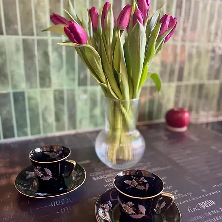 Lejlighed Vintage Senacka 9/7 Kraków