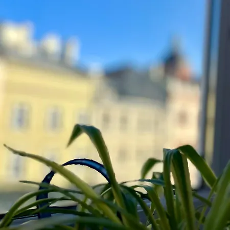 Vintage Senacka 9/7 Kraków