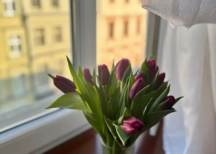 Vintage Senacka 9/7 * Kraków