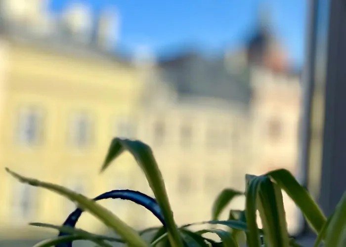 Vintage Senacka 9/7 Kraków