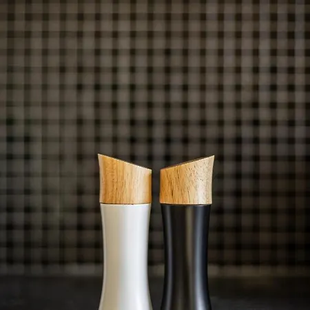 Vintage Senacka 9/7 דירה *